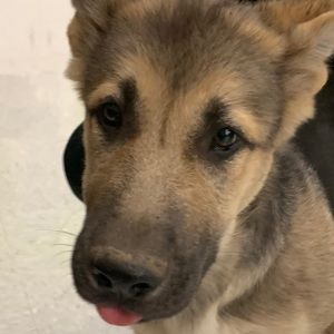 Meet your Posher, Aiden